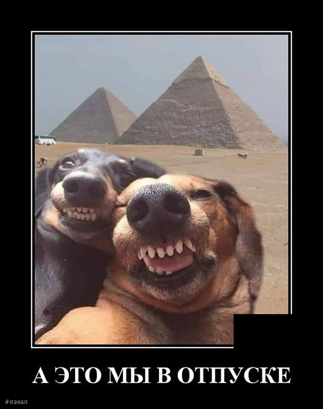 Приколы с надписями