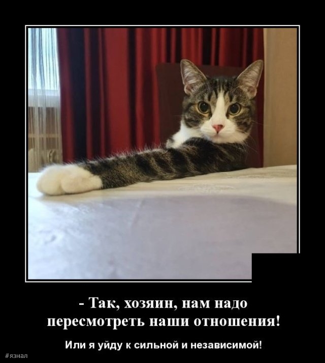 Приколы с надписями