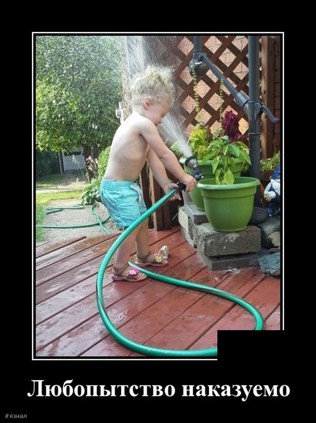 Приколы с надписями