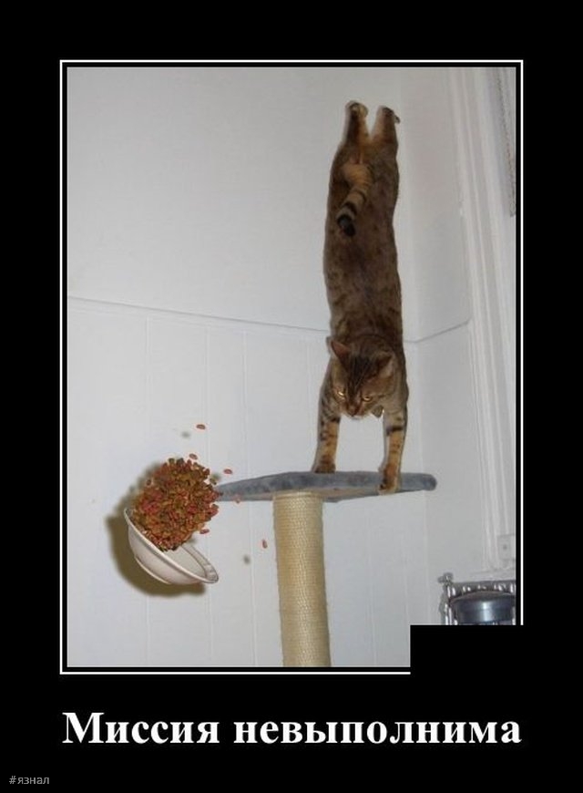 Приколы с надписями