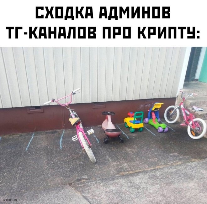 Смешные картинки