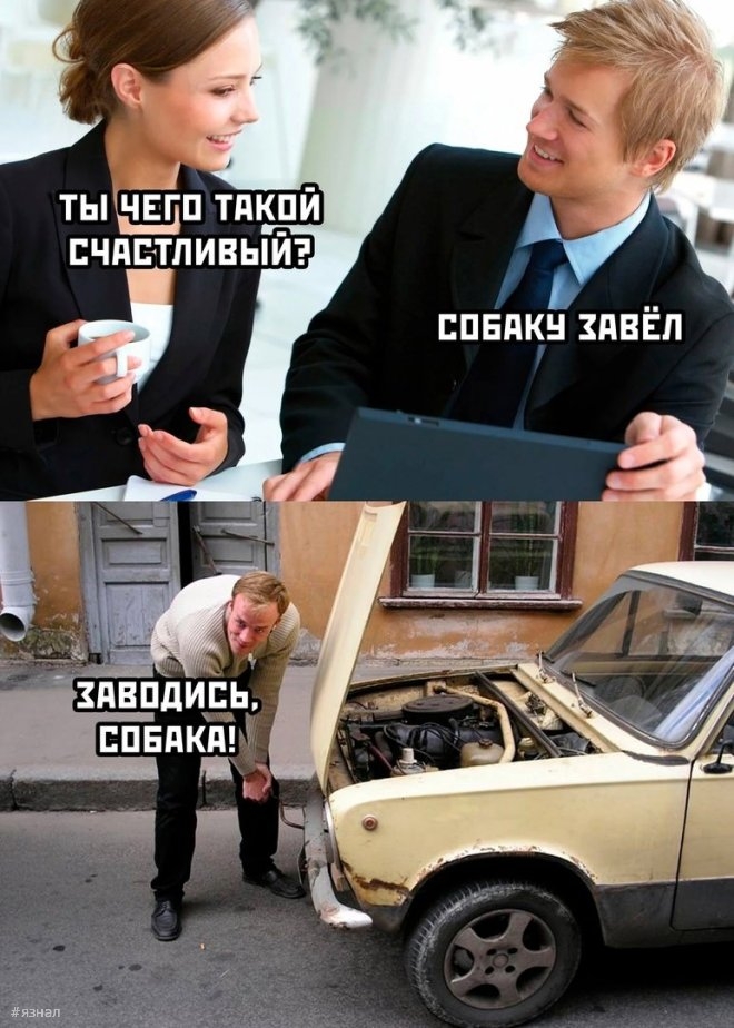 Смешные картинки