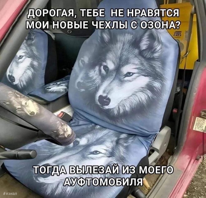 Смешные картинки