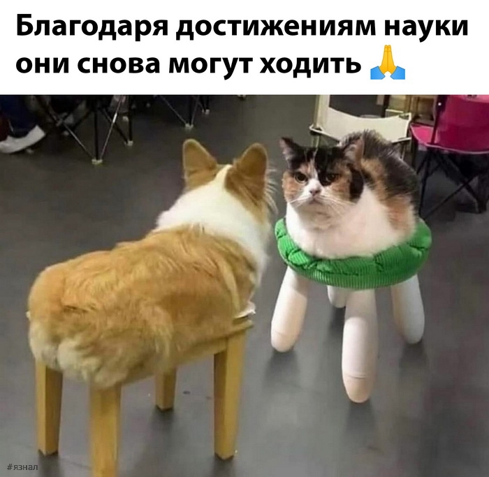 Приколы