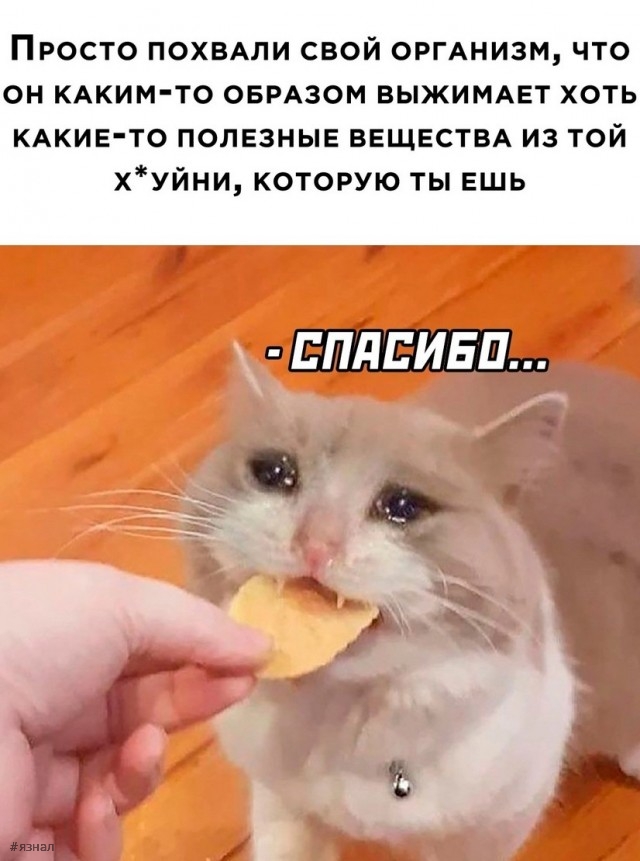 Приколы