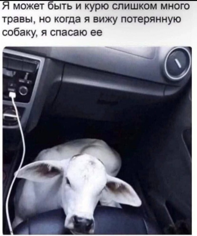 Приколы