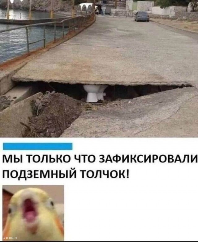 Приколы