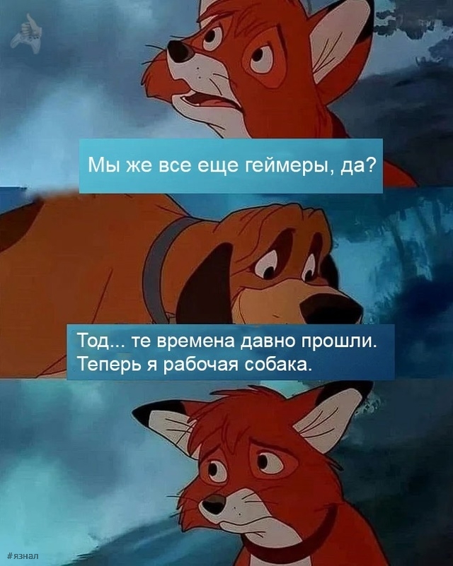 Самые смешные мемы и картинки