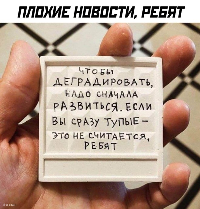 Мем кот с пилочкой
