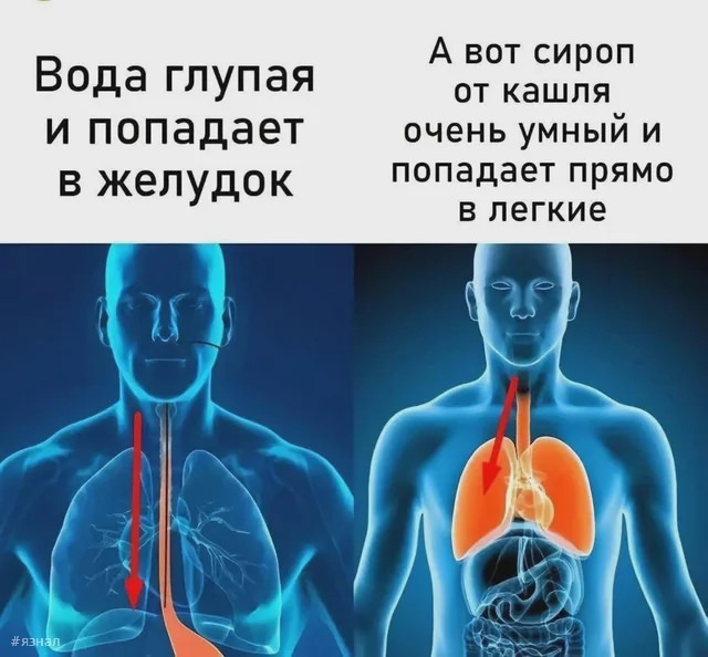 Отборный юмор