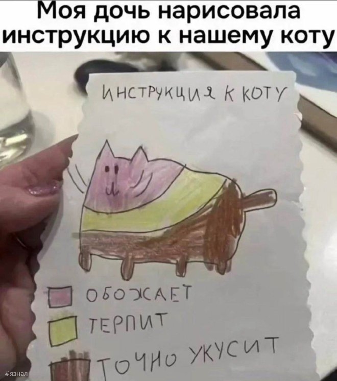 Смех для всех