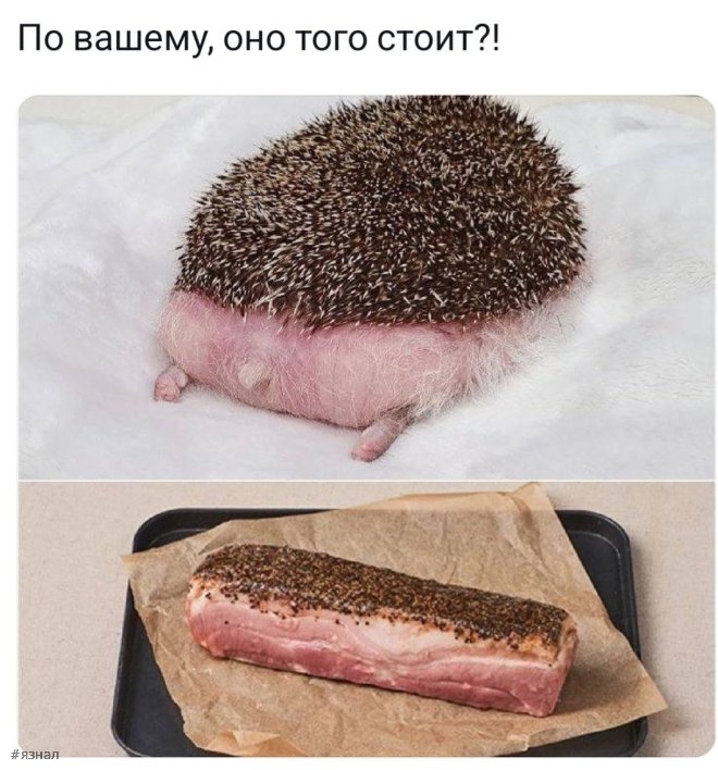 Смешной мем