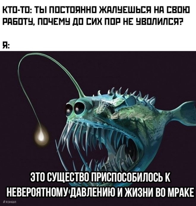 Самые смешные мемы и картинки