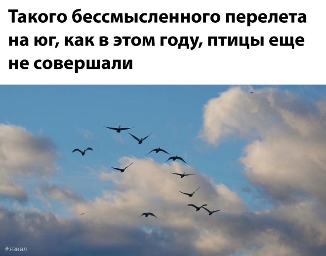 Смешные мемы