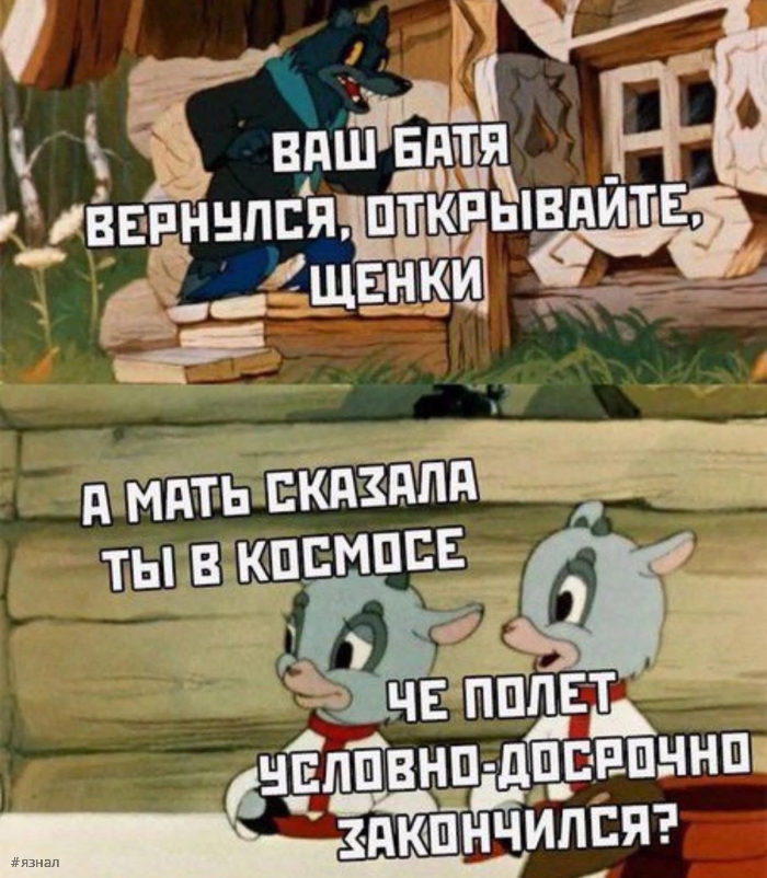 Топ мемы