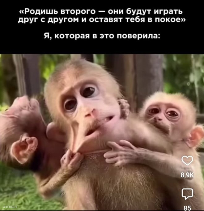 Отборный юмор