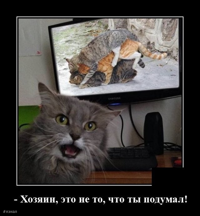 Смех в демотиваторах