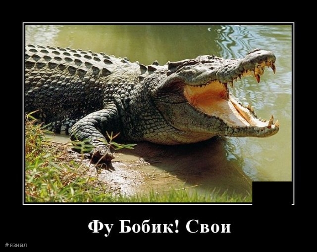 Смех в демотиваторах