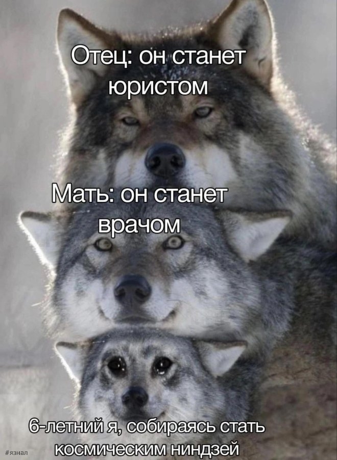 Смешной мем