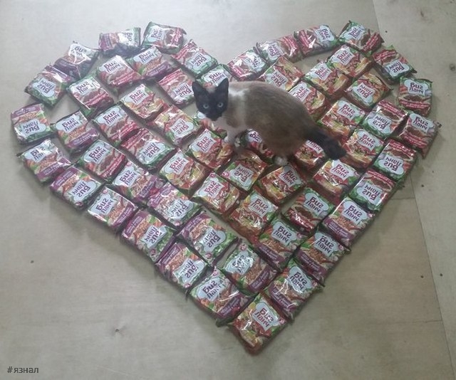 Фото приколы из России