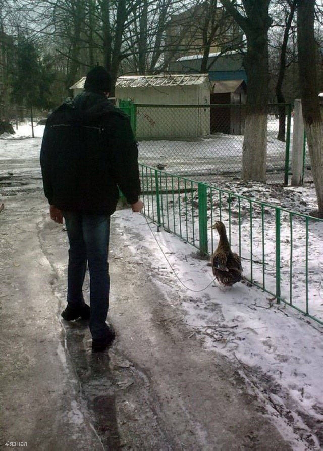 Фото приколы из России