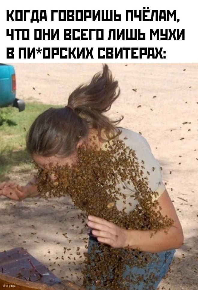Мемы для хорошего дня