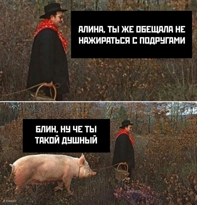 Мемы для хорошего дня