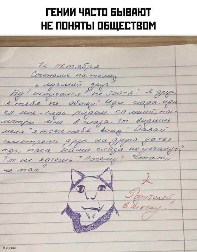 Мемы для хорошего дня