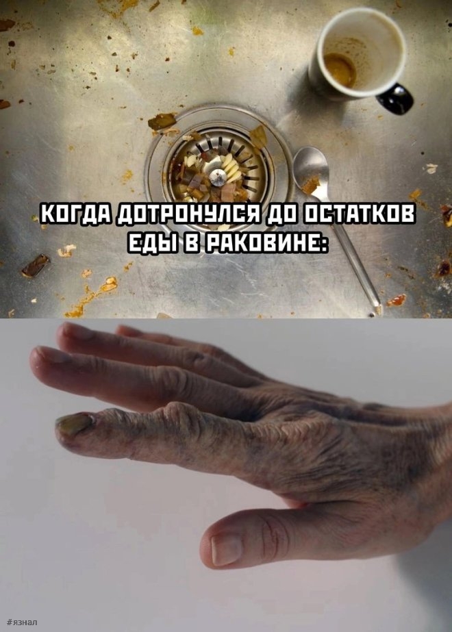Мемы для хорошего дня