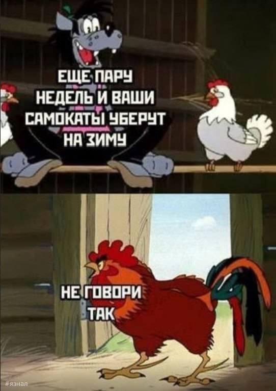Мемы для хорошего дня