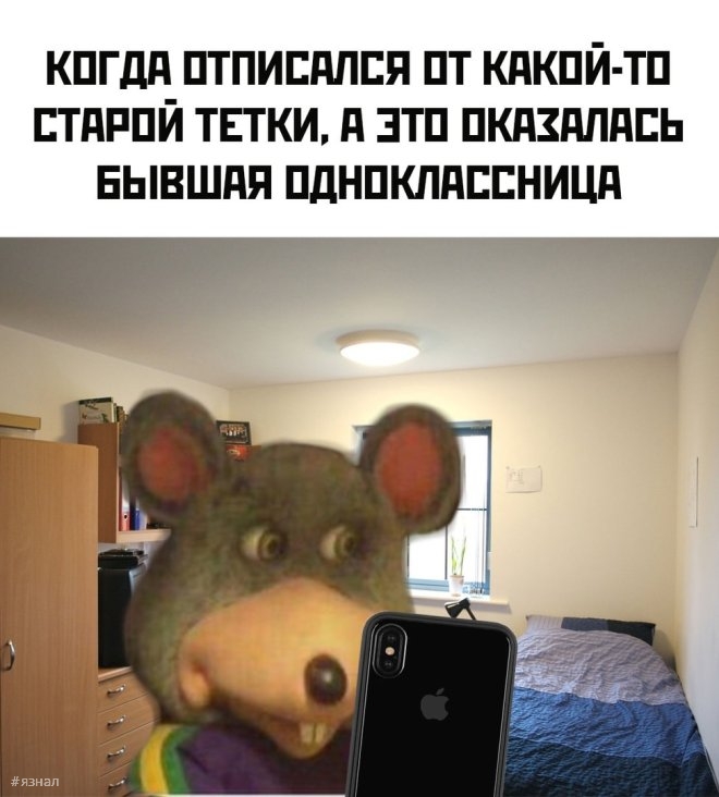 Мемы для хорошего дня