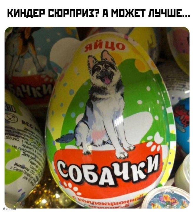 Мемы для хорошего дня