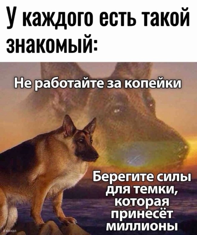 Мемы для хорошего дня