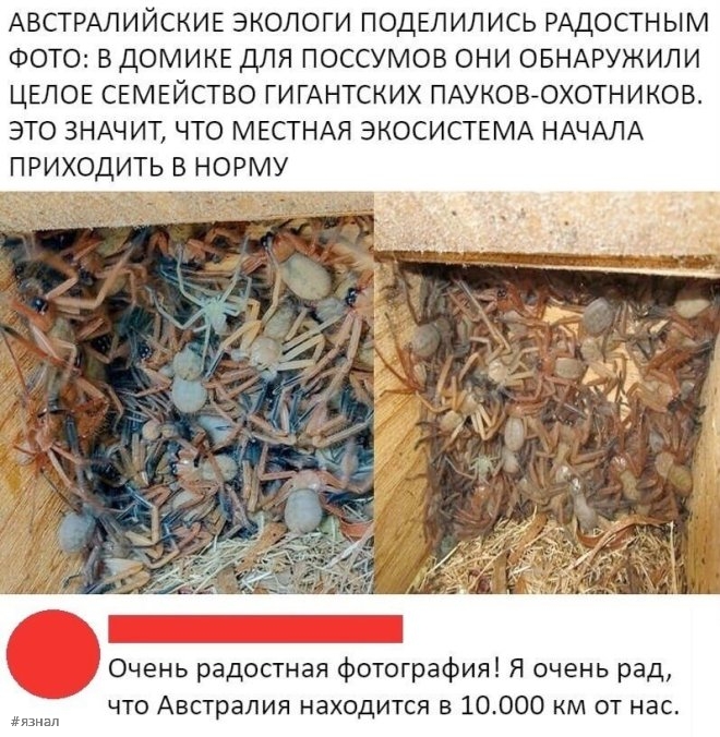 Смешные комментарии из соцсетей