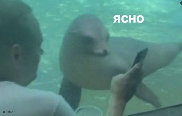 Юмор для всех