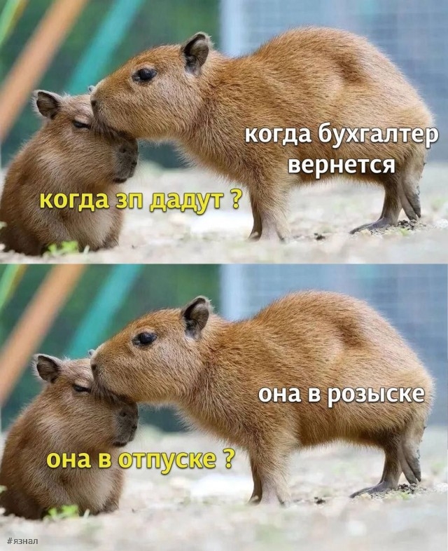 Юмор для всех