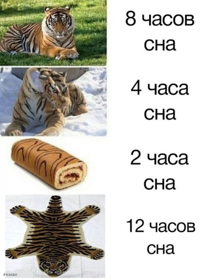 Юмор для всех