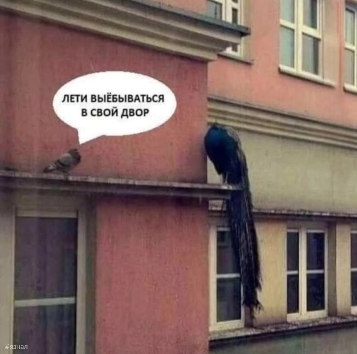 Юмор для всех