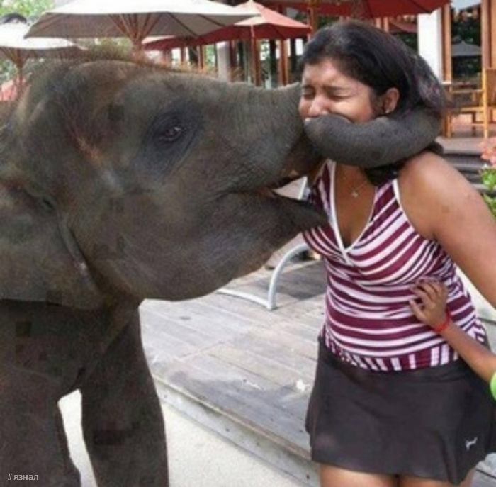 Смешные фото приколы