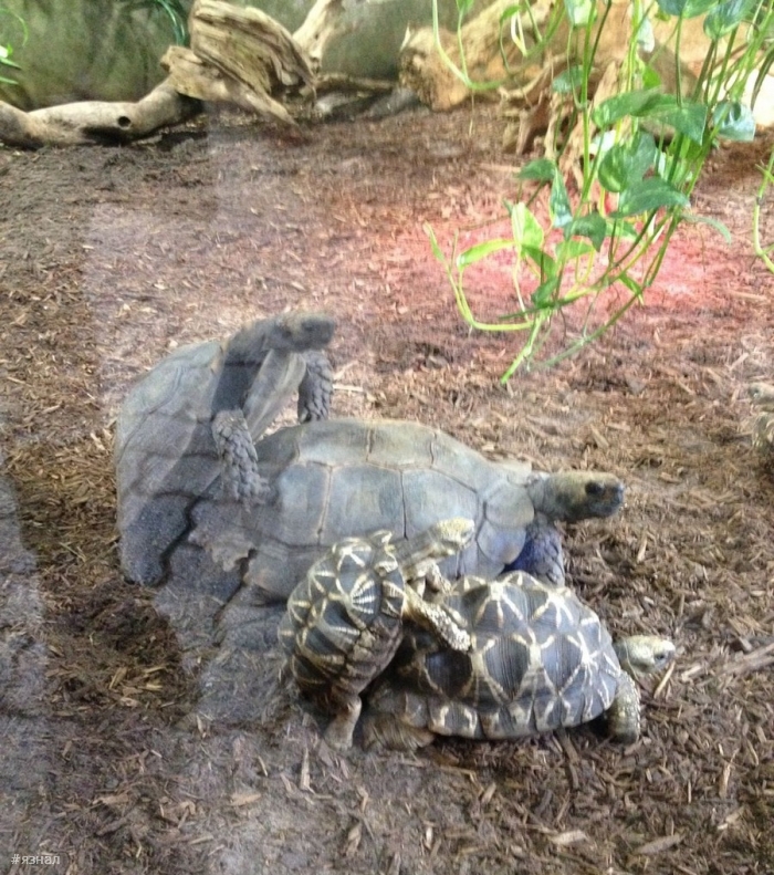 Смешные фото приколы