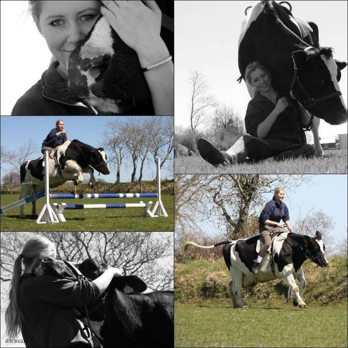 Смешные фото приколы