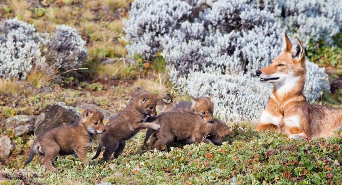 Смешные фото приколы