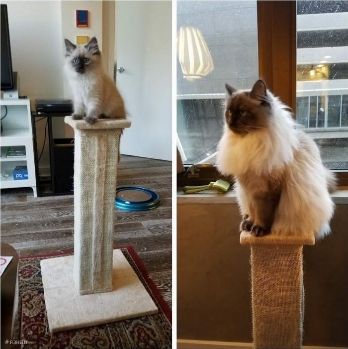 Смешные фото приколы