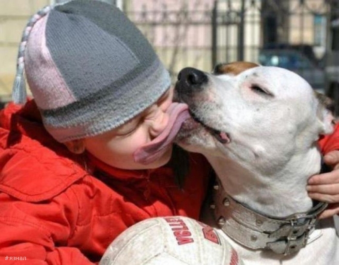 Смешные фото приколы