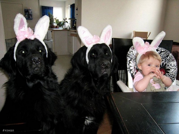 Смешные фото приколы