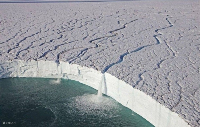 Смешные фото приколы