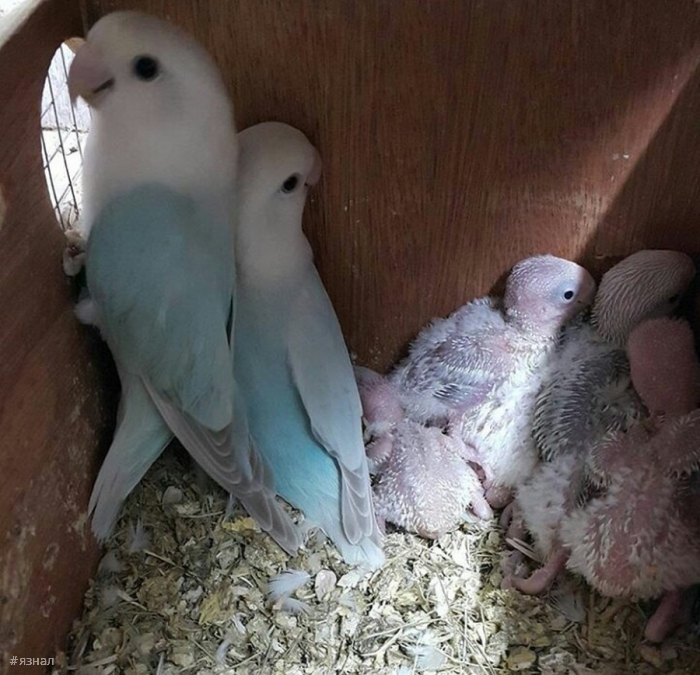 Смешные фото приколы