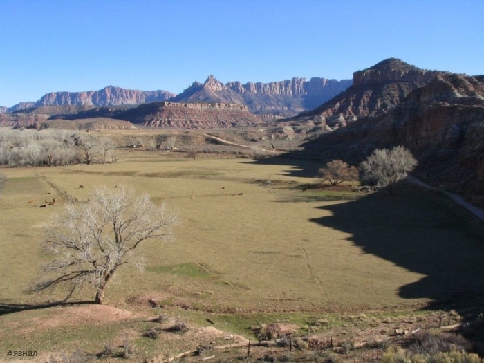 Графтон — заброшенный город-призрак, основанный мормонами в 1859 году