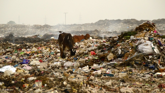 Темная сторона рая: экологические проблемы популярных туристических направлений