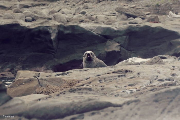 Красота Новой Зеландии